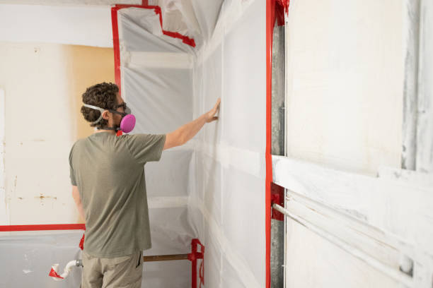 Best Forensic Mold Investigation  in Vincent, CA