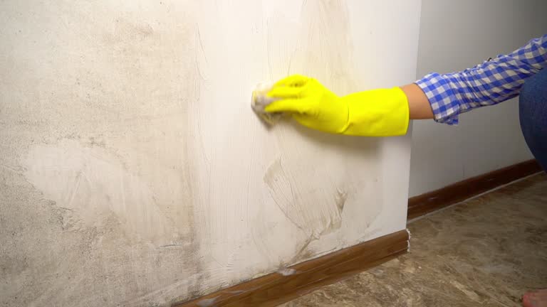 Best Mold Odor Removal Services  in Vincent, CA