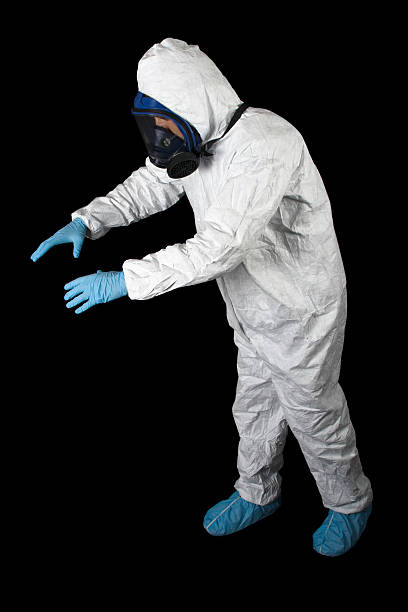 Professional Mold Removal in Vincent, CA